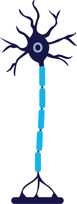 iovera treatment application image 4